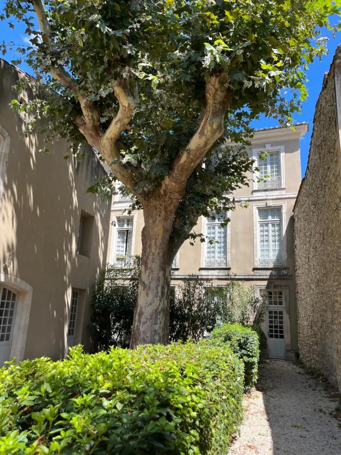 Superbe Appartement De Charme A 10Mn De Saint-Remy Noves Kültér fotó