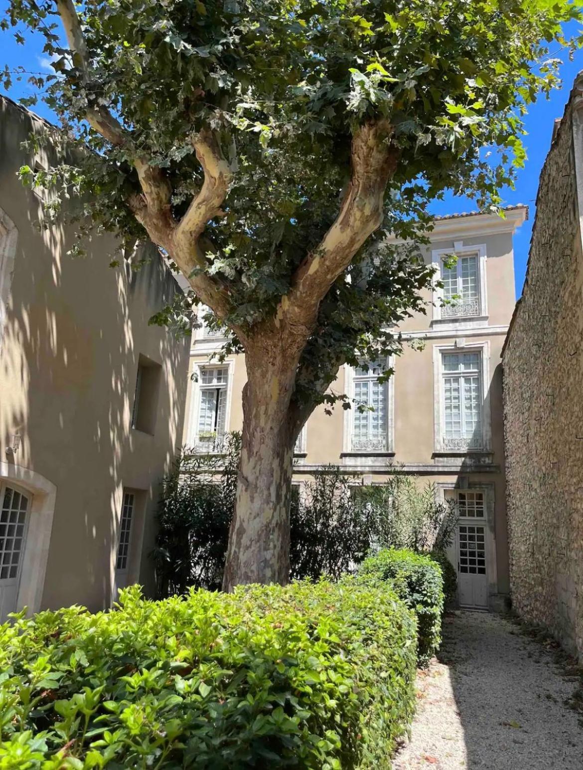 Superbe Appartement De Charme A 10Mn De Saint-Remy Noves Kültér fotó